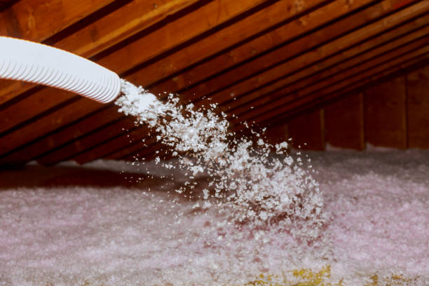 Best DIY Insulation Kits and Guidance in Iceville, AL