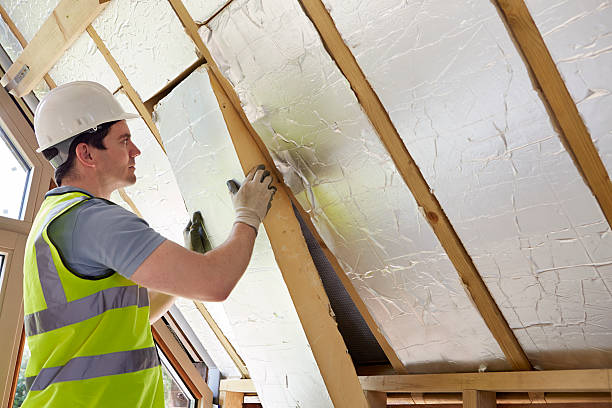 Best Spray Foam Insulation in Iceville, AL