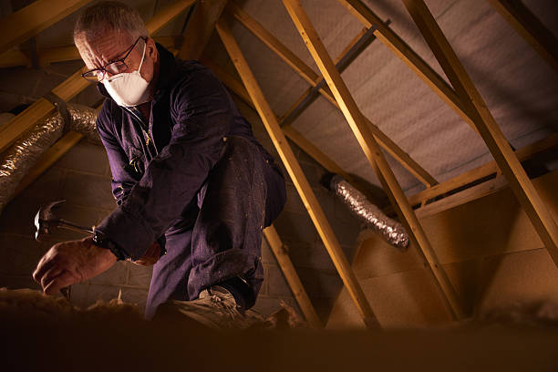 Best Insulation for Specific Applications in Iceville, AL